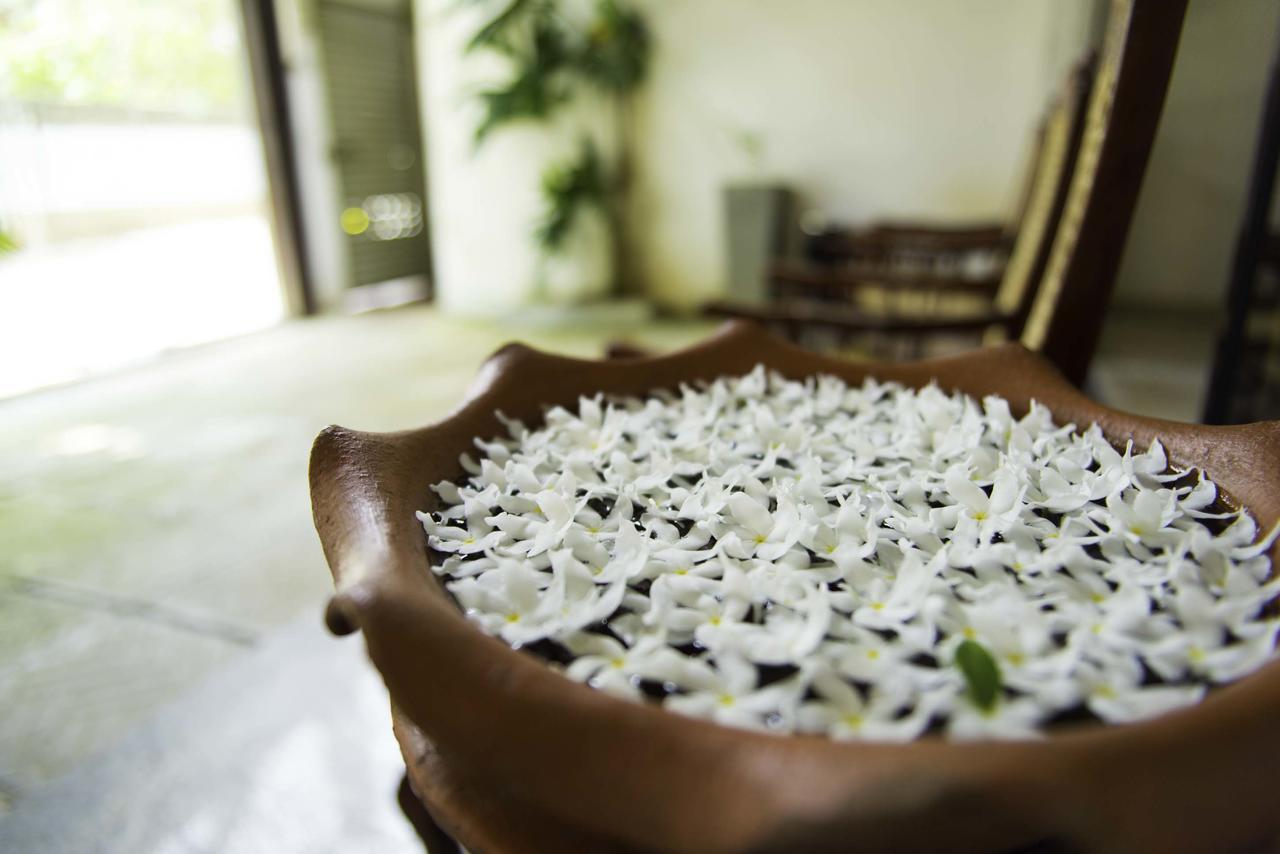 Hotel Sunshine Kolombo Dış mekan fotoğraf